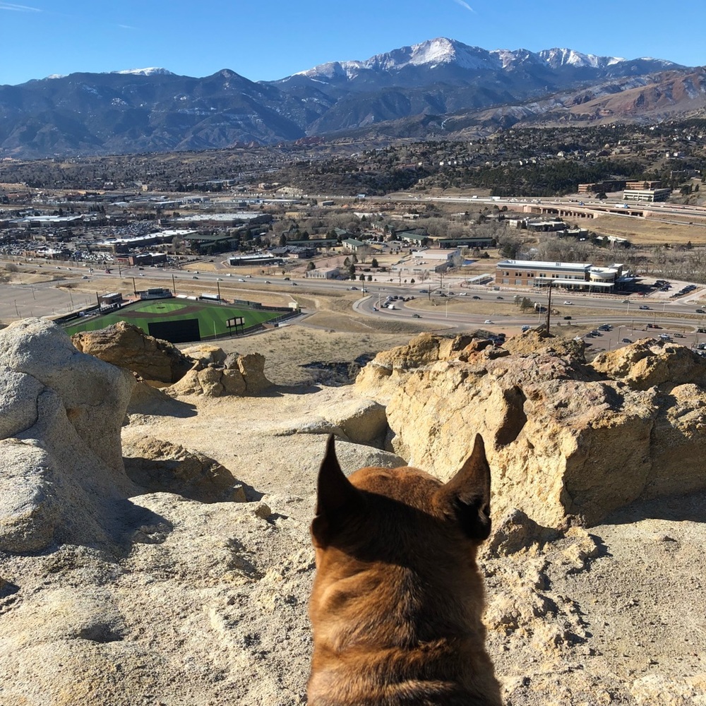 Meet your Posher, Susana